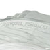 Lalique France Frosted Glass Fern Pattern Signed Vase