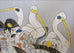 ZU MING HO Limited Edition Lithograph
