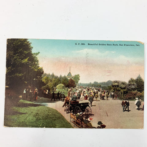 Beautiful Golden Gate Park San Francisco SF California CA Postcard